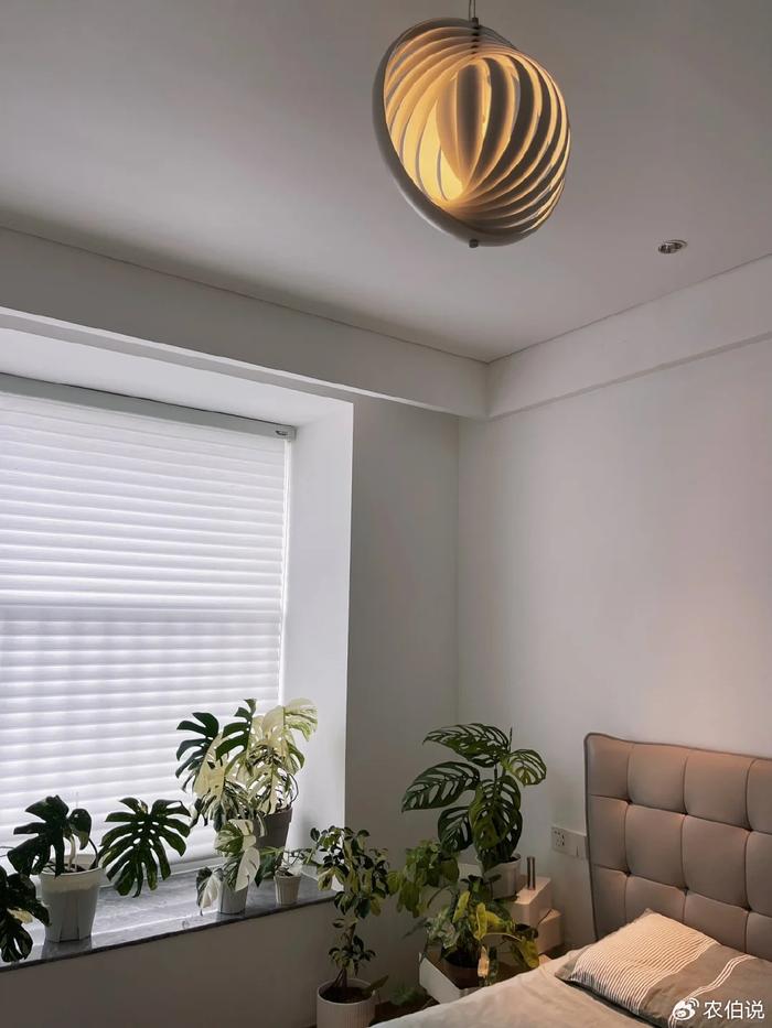 臥室里養花影響睡眠嗎_臥室養什么花助眠_什么花養在臥室里有助于睡眠