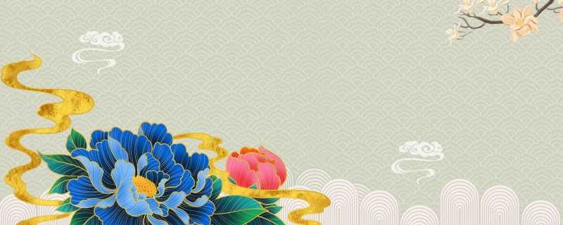 開花冬季花有什么顏色_冬季開花的植物有_冬季有哪些花開花