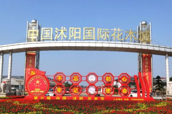 花卉批發市場一覽_花卉市場批發_離我最近的花卉批發市場