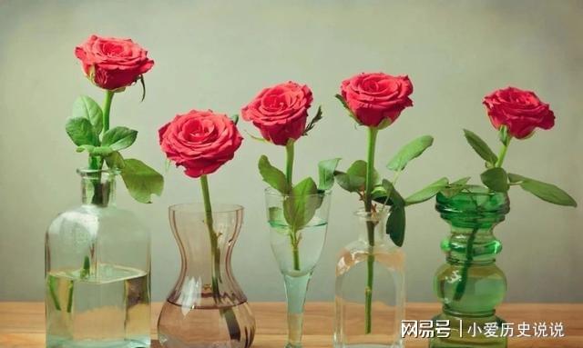 買來的鮮花如何保鮮更長久教你5個簡單技巧