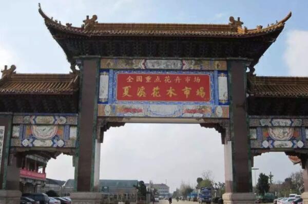 中國十大花卉批發市場，江蘇上榜兩處，第一是中國最大鮮切花市場(2)