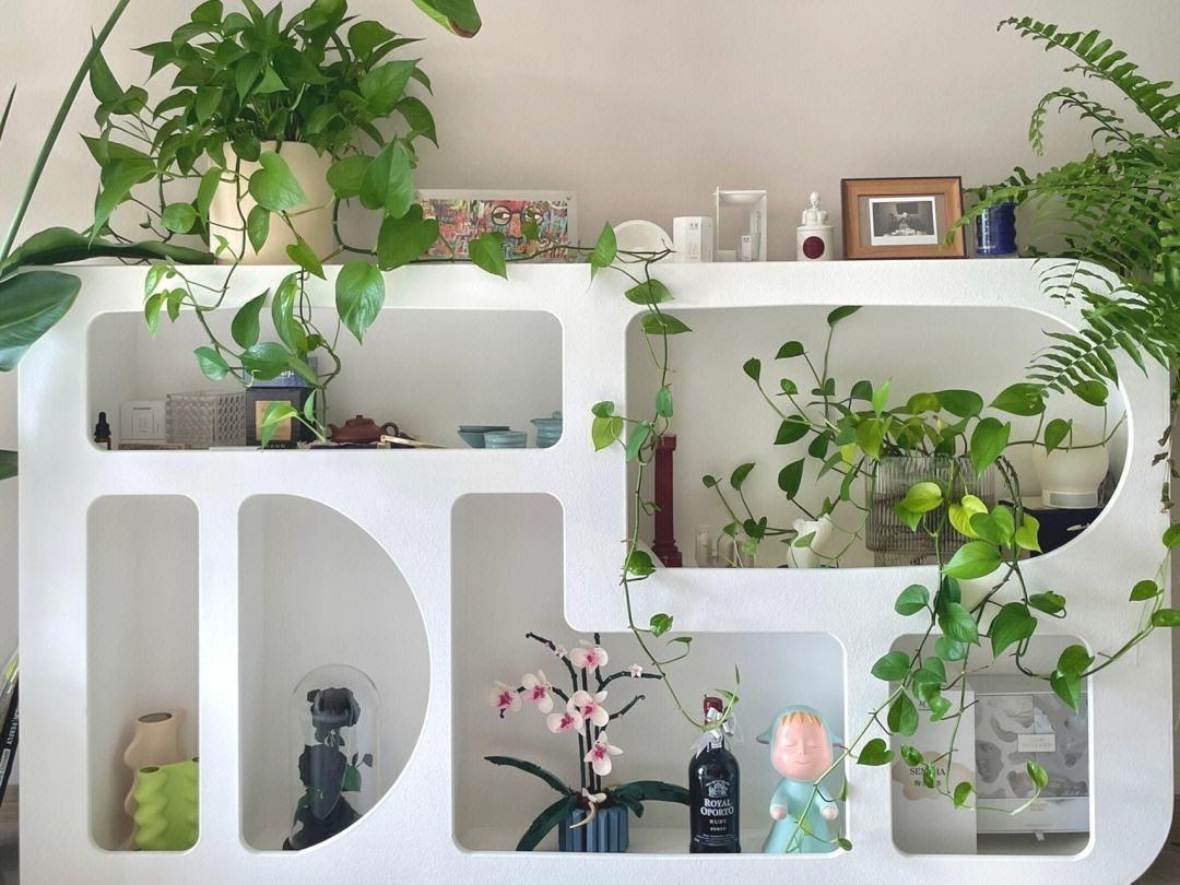 十種適合室內養的花_室內養適合花的植物_室內養適合花草的植物