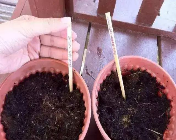 花盆沒有孔可以種菜嗎_花盆沒有孔可以養花嗎_花盆沒有孔花能活么