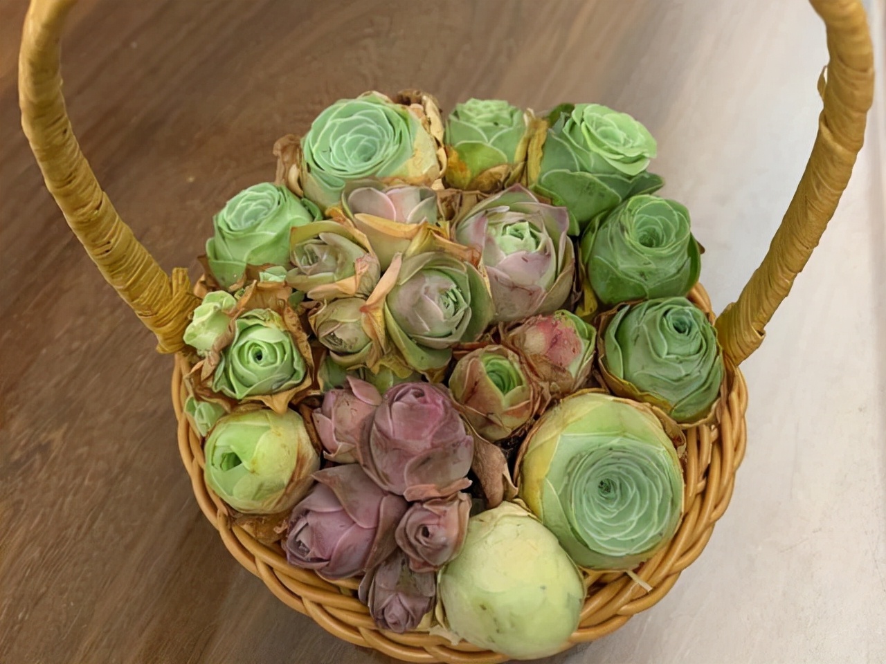 室內養植物多肉好嗎_室內養植物多肉怎么養_多肉植物室內養