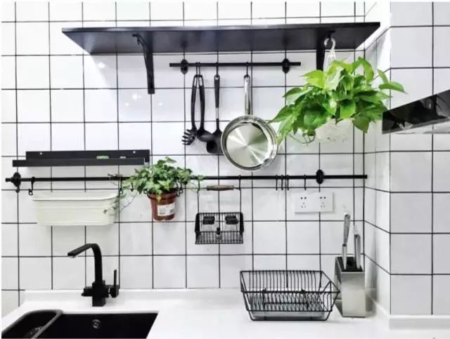 可以室內養的綠植_室內養綠植可以增加濕度嗎_室內養綠植可以凈化空氣嗎