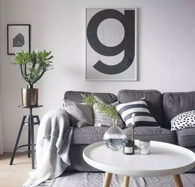 室內養綠植可以凈化空氣嗎_室內養綠植可以增加濕度嗎_可以室內養的綠植