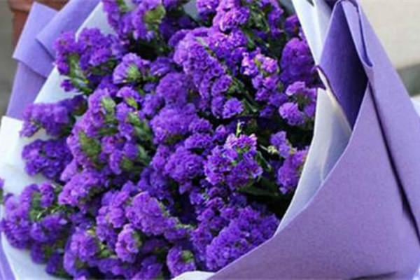 合適男生送花的句子_男生送花合適嗎_給男生送花合適嗎