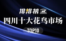 成都花鳥市場_成都市場花鳥市場價格_成都市場花鳥市場地址