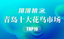 成都花鳥市場_成都市場花鳥市場價格_成都市場花鳥市場地址