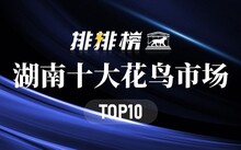 成都花鳥市場_成都市場花鳥市場價格_成都市場花鳥市場地址