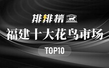 成都市場花鳥市場地址_成都市場花鳥市場價格_成都花鳥市場