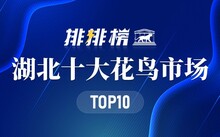成都市場花鳥市場價格_成都市場花鳥市場地址_成都花鳥市場