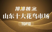 成都市場花鳥市場價格_成都市場花鳥市場地址_成都花鳥市場