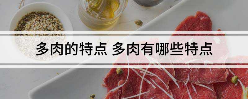 多肉的特點_多肉特點和特征_多肉特點功效是什么