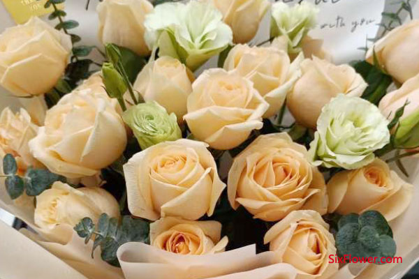 送花含義_送花12朵代表什么意思_送花表示什么