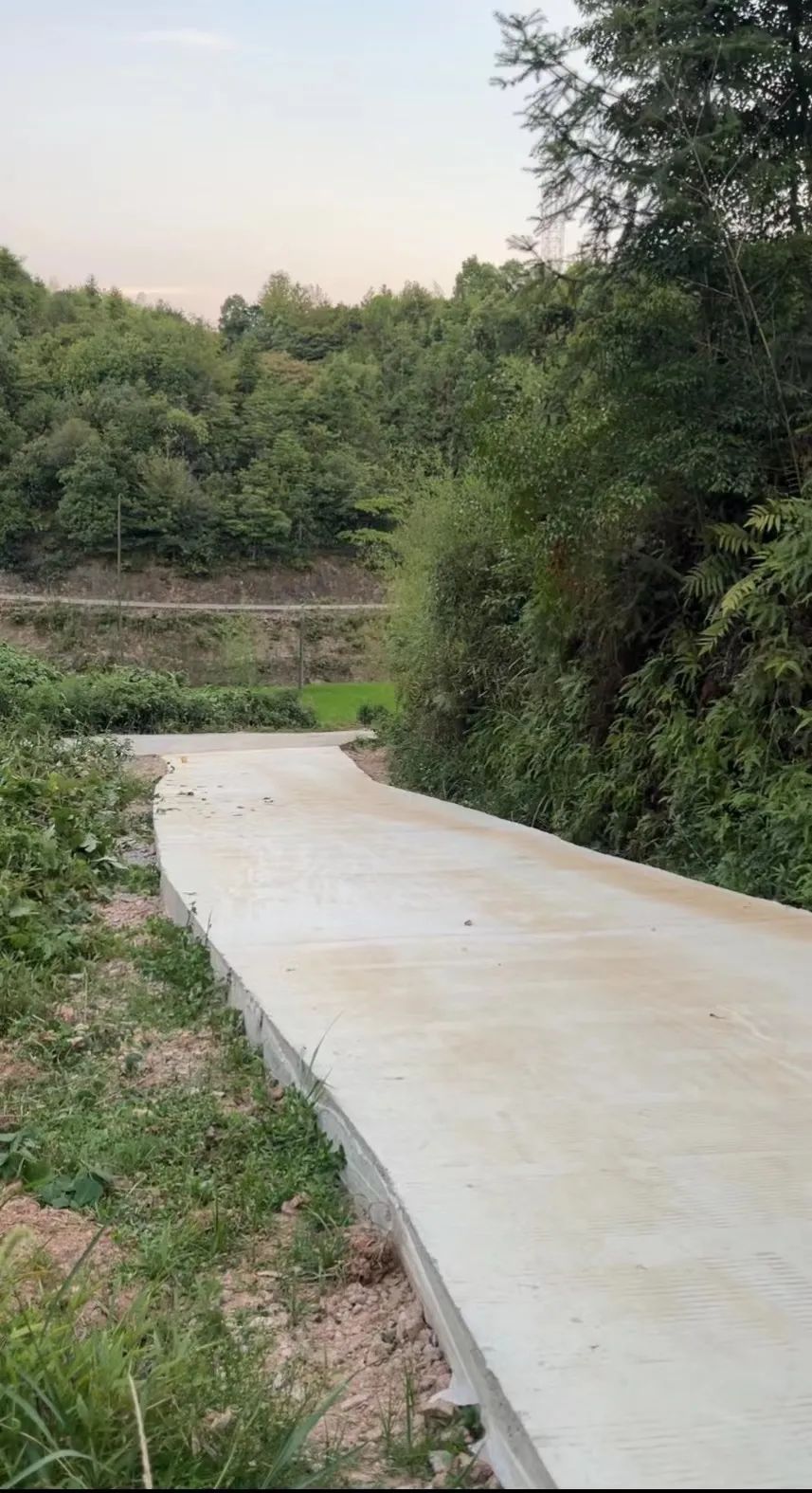 送給奶奶的花_送給奶奶花看圖寫(xiě)話_送給奶奶花比較實(shí)用一點(diǎn)的禮物