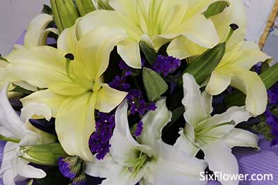 適合送給姐姐的花_送給姐姐什么花_送給姐姐什么花最好