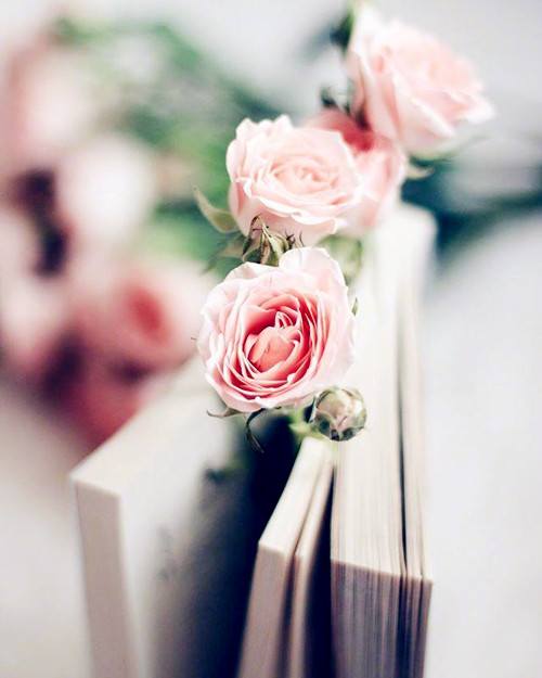 送束玫瑰花什么意思_送玫瑰花束的含義_送你一束玫瑰花