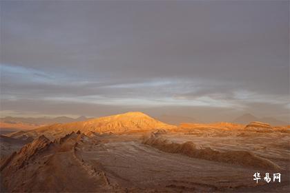 床頭放綠植風水好不好_床頭能綠植放在臥室嗎_床頭能放綠植嗎