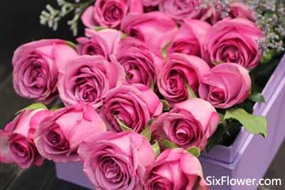 過生日送玫瑰花代表什么意思_送生日玫瑰花可以嗎_生日可以送玫瑰花嗎