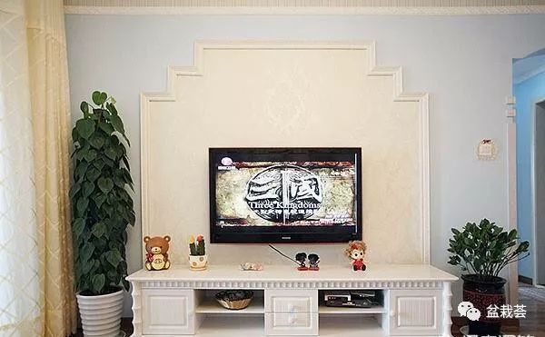 電視客廳背景墻綠植放哪里好_電視客廳背景墻綠植放什么好看_客廳電視背景墻放什么綠植