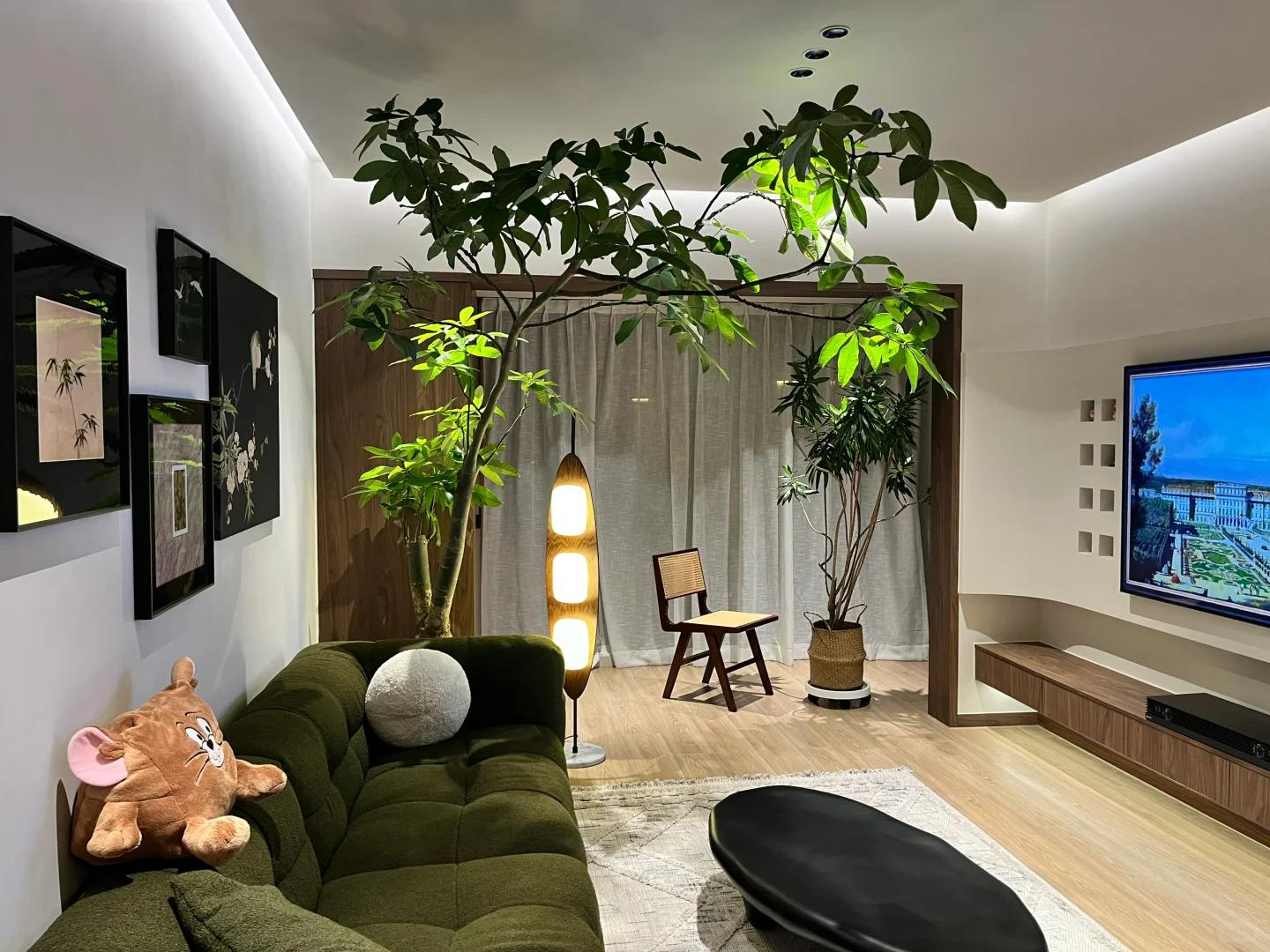 適合在客廳養的綠植有哪些_客廳養綠植適合有什么植物_客廳養綠植適合有什么花