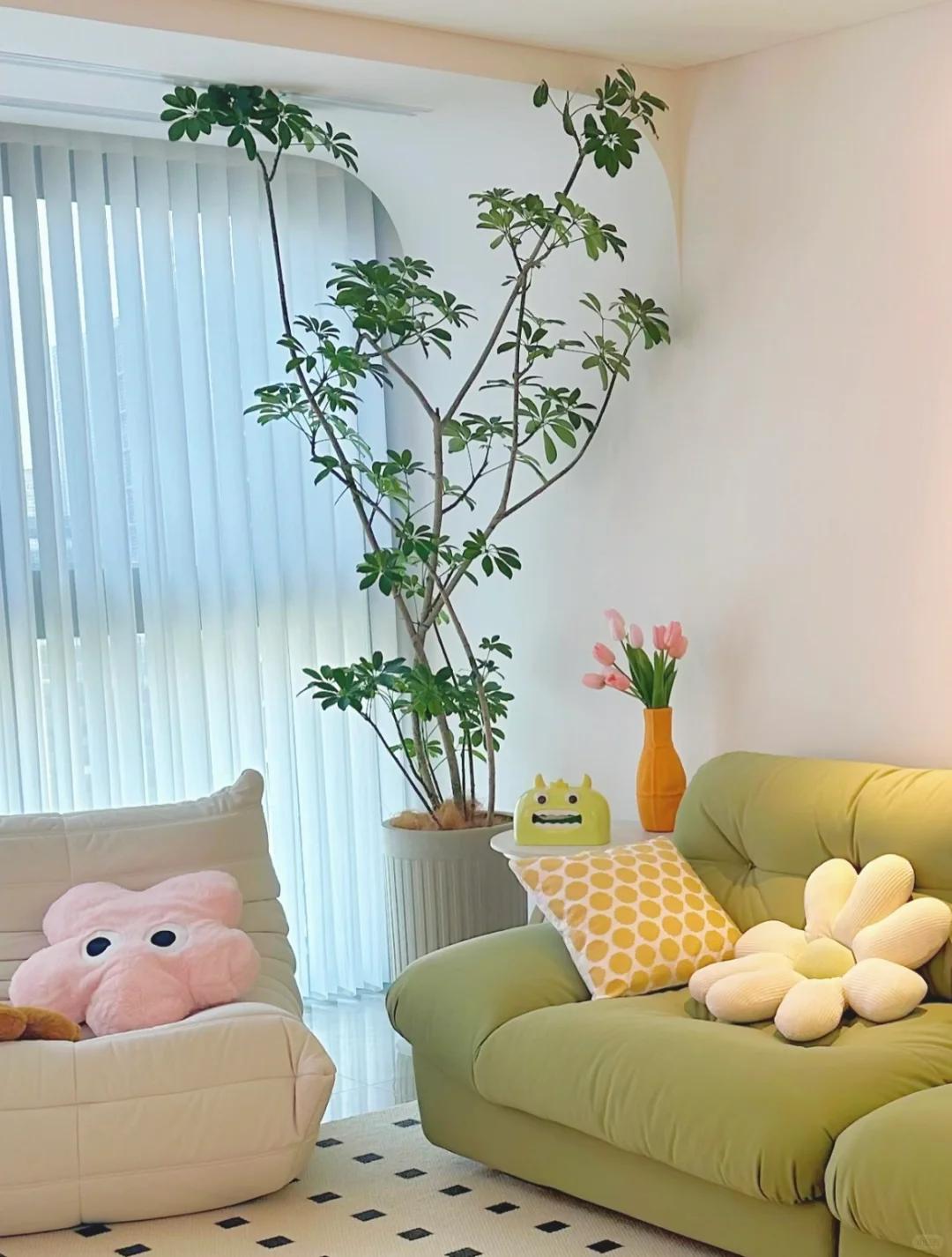 客廳養綠植適合有什么植物_客廳養綠植適合有什么花_適合在客廳養的綠植有哪些