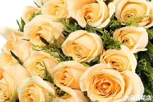 道歉送花送什么花_道歉送什么顏色的花_道歉送什么顏色的玫瑰花