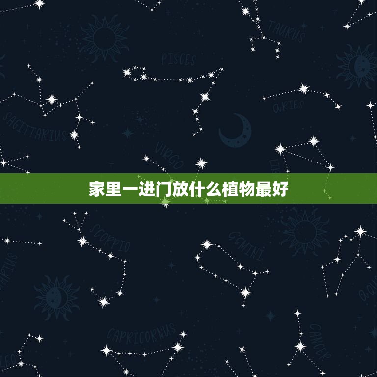 客廳放綠植的風水_家里客廳放綠植有什么講究_家里客廳擺什么綠植好