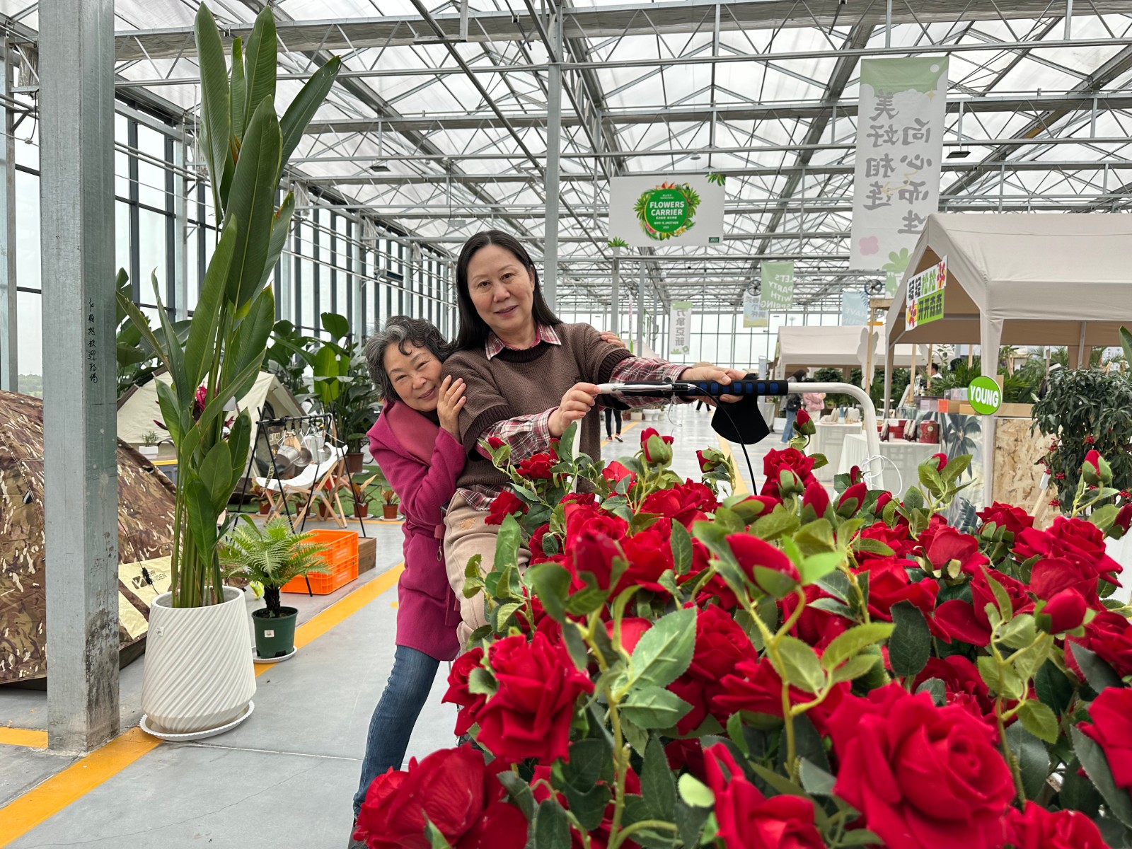 洛陽花卉市場電話號碼_洛陽花卉市場_洛陽市花卉市場營業時間