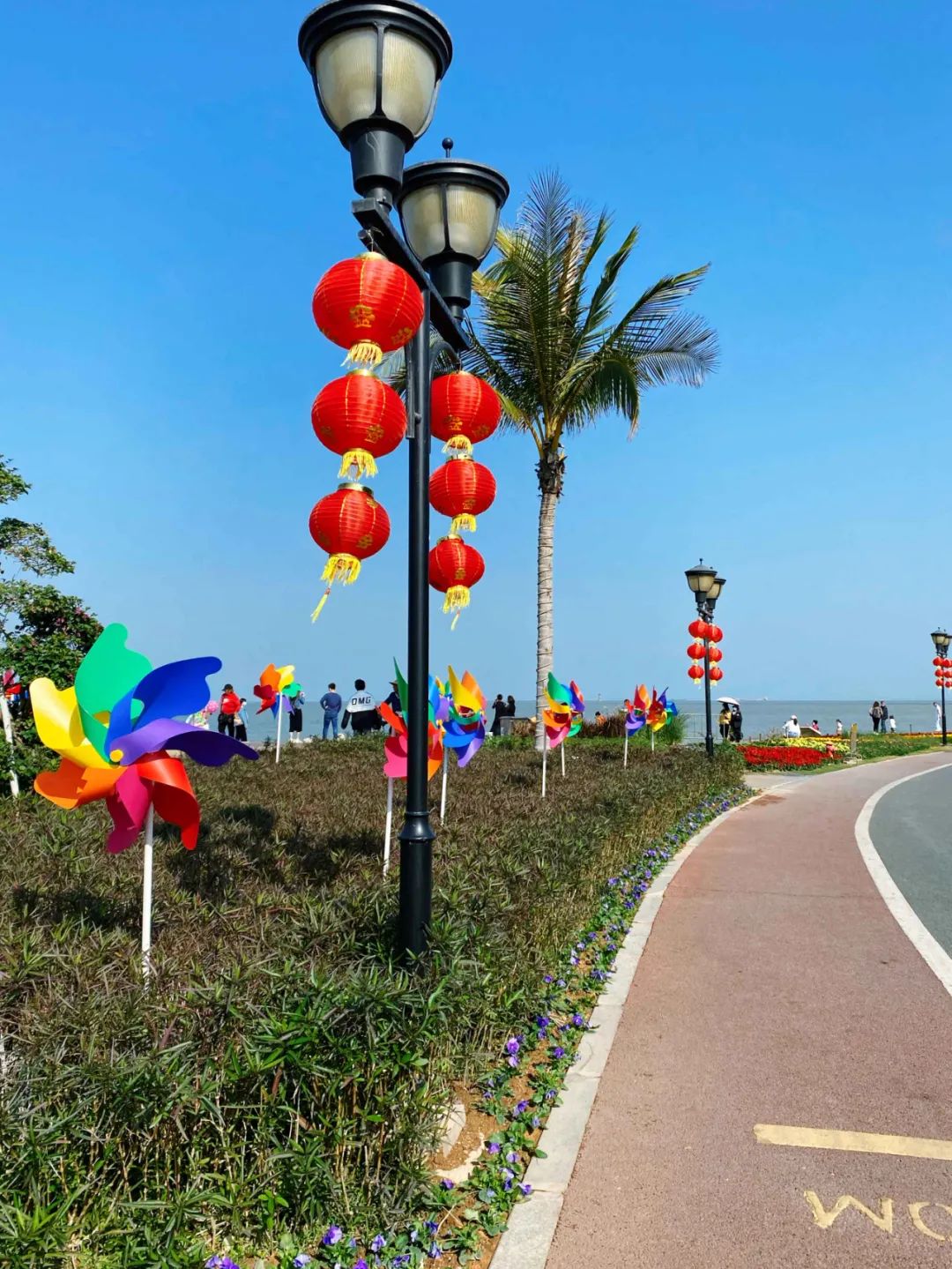 珠海市花卉批發市場_珠海花卉市場批發市場_珠海花卉市場哪里便宜