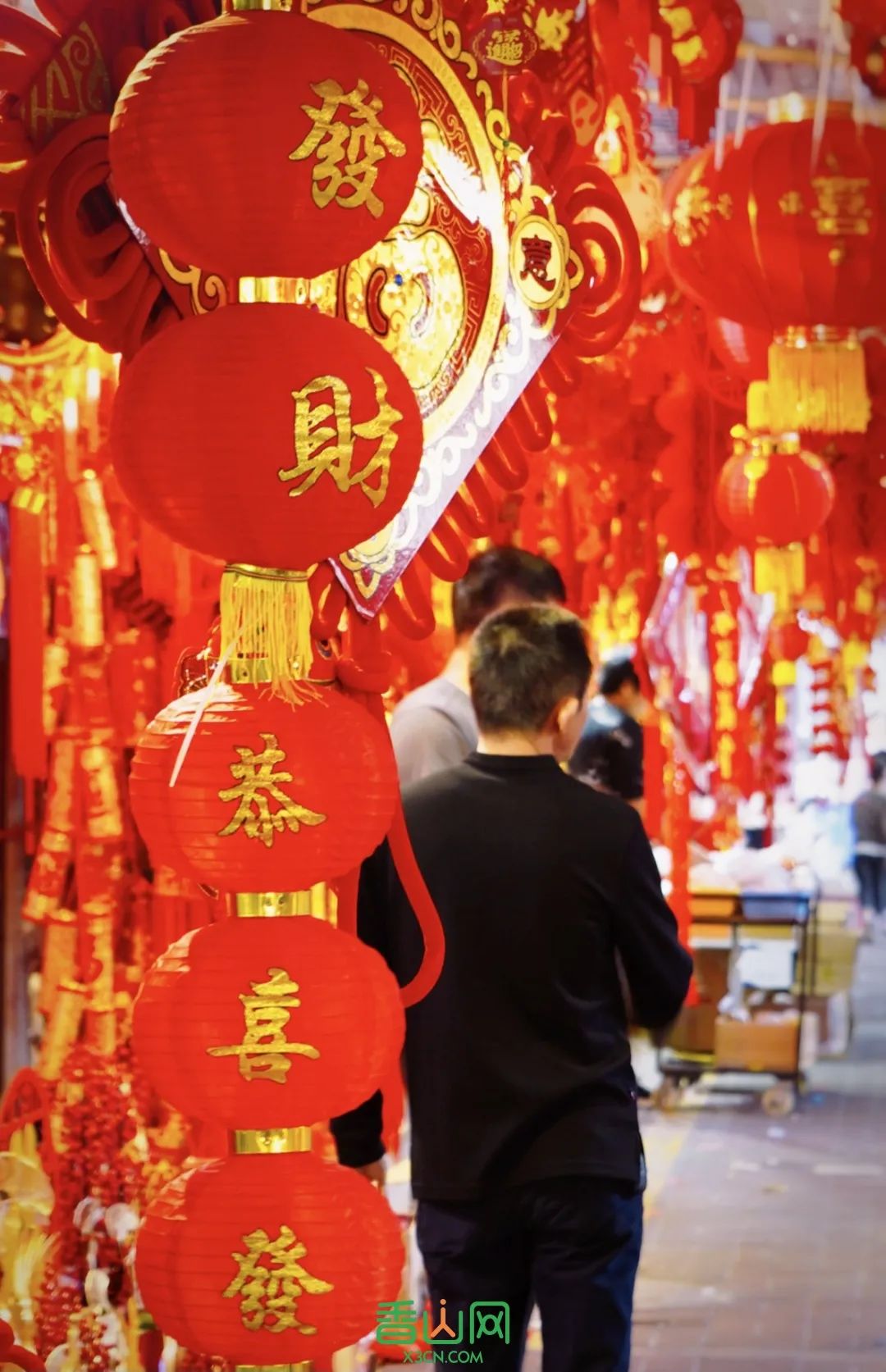 珠海市花卉批發市場_珠海花卉市場哪里便宜_珠海花卉市場批發市場