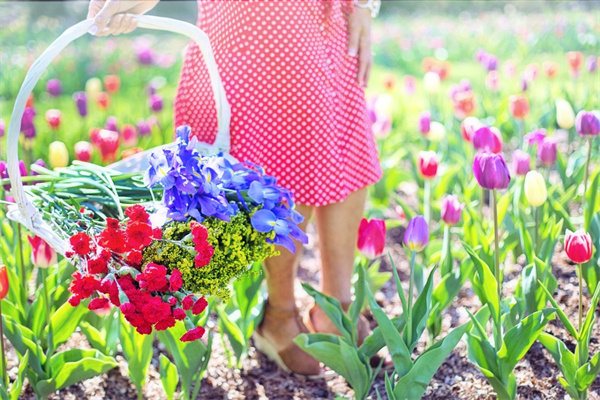 廣安綠植花卉市場在哪里(廣安花卉基地)