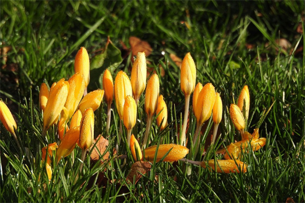 不胖為什么臉上很多肉(我不胖為什么臉上的肉很多)