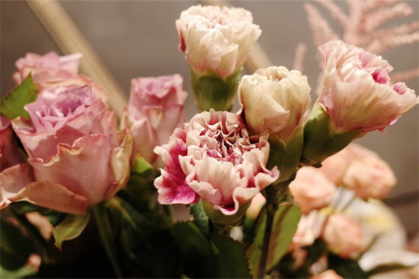 庭院綠植墻設(shè)計(庭院植物墻設(shè)計)