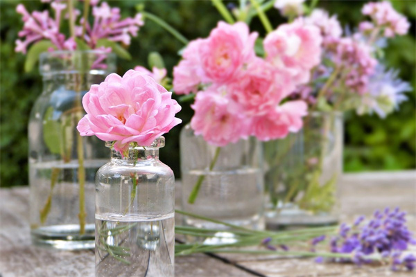 男生節送花(男生送花是喜歡嗎)